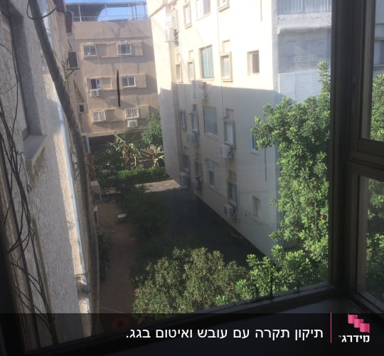 נוף עירוני עם בניינים ועצים מחוץ לחלון